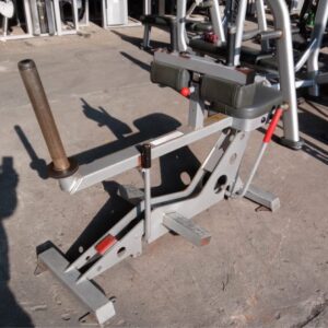 Star Trac Calf Raise