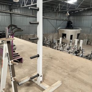 Used Body Master Disc Rack